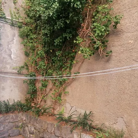 Con Terrazza Vista Panoramica Homestay *